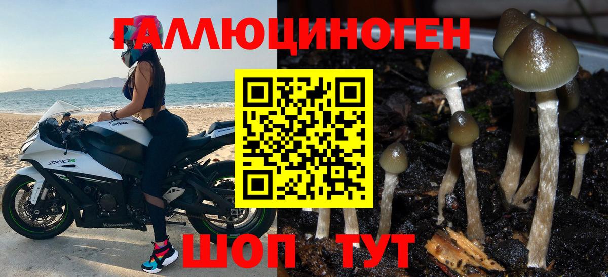 Псилоцибиновые грибы Psilocybine cubensis  Псилоцибиновые грибы ЛСД  Вход с VPN  Ипатово 